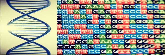 Next Generation Sequencing