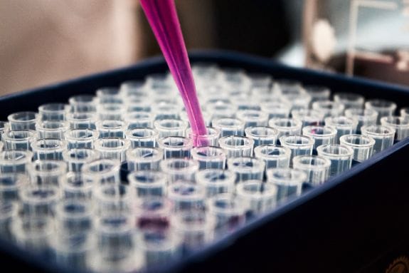 laboratory experiments