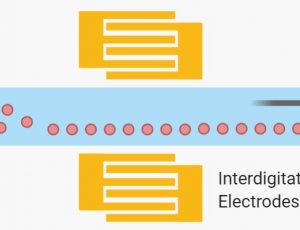 Microfluidic acoustophoretic cell separation