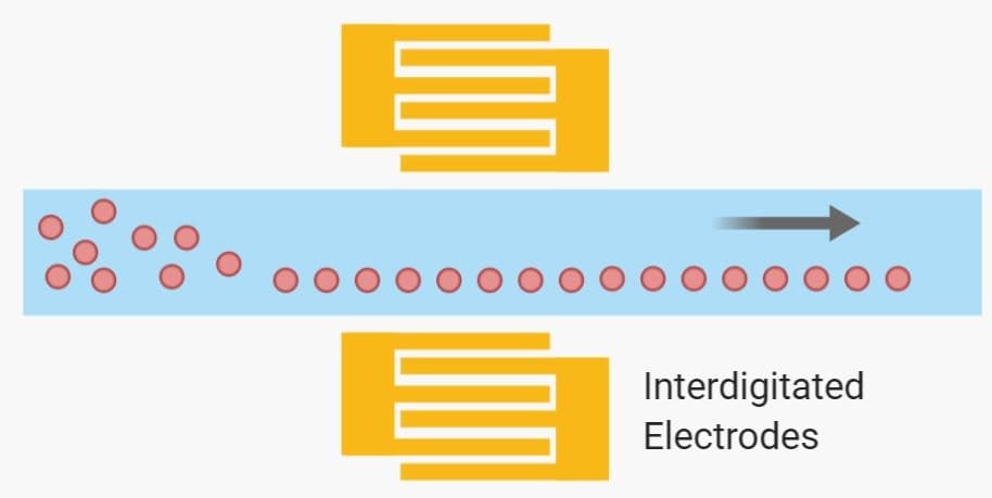 Microfluidic acoustophoretic cell separation