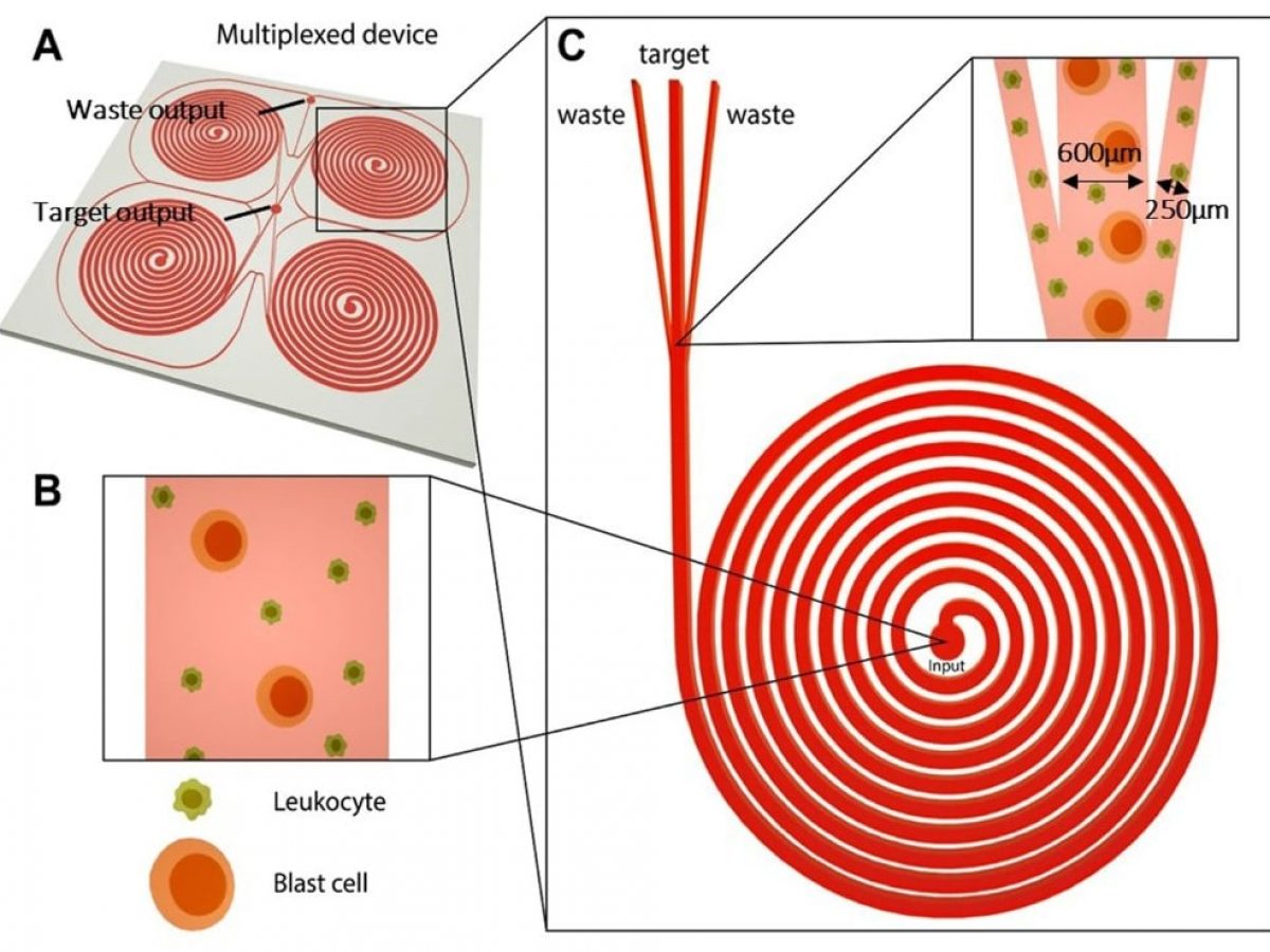 System Modularity Chip for Analysis of Rare Targets (SMART-Chip): Liquid  Biopsy Samples