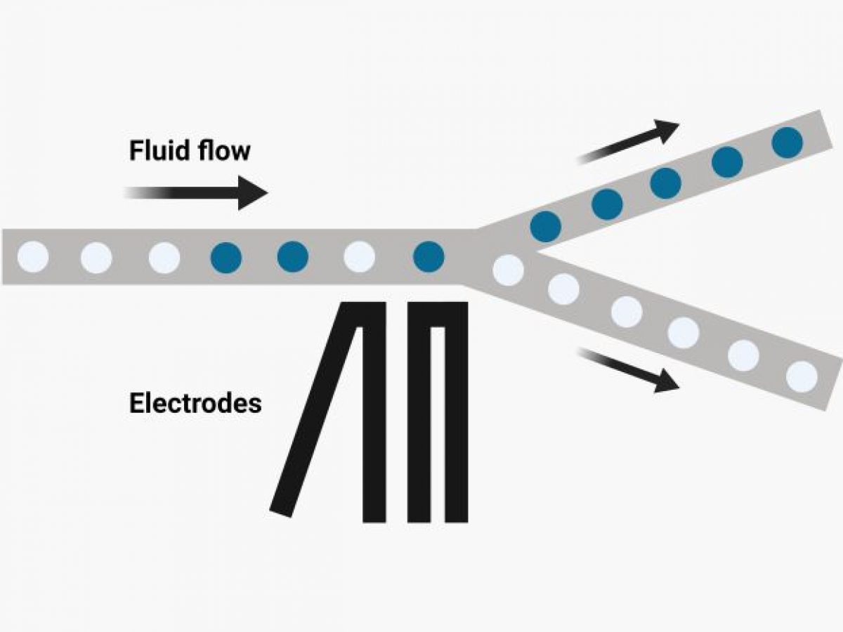 Droplet Microfluidics As A Tool For Biology Chemistry Ufluidix