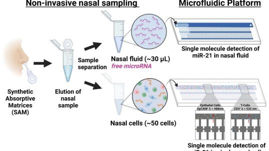 microfluidic single-cell technology for miRNA analysis
