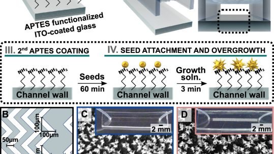 Nanostructure decorated microfluidic device