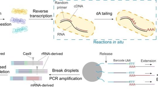 Microbe RNA sequencing using advanced microfluidic technology