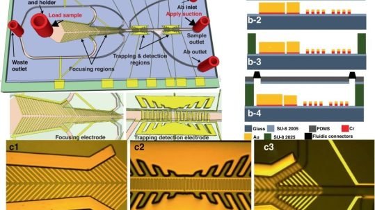 Microfluidic biosensor can help to diagnose chronic wasting disease