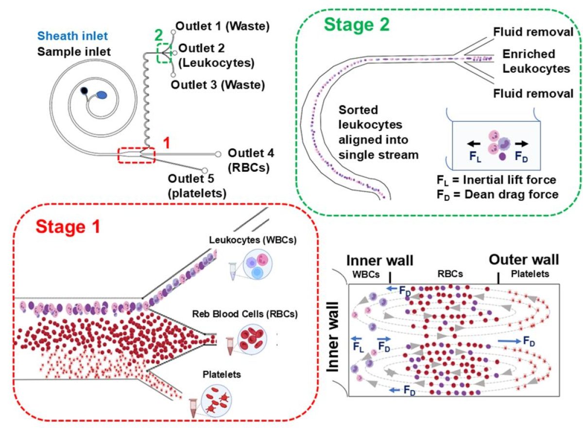 Label-Free Microfluidic Blood Processing for Platelet and
