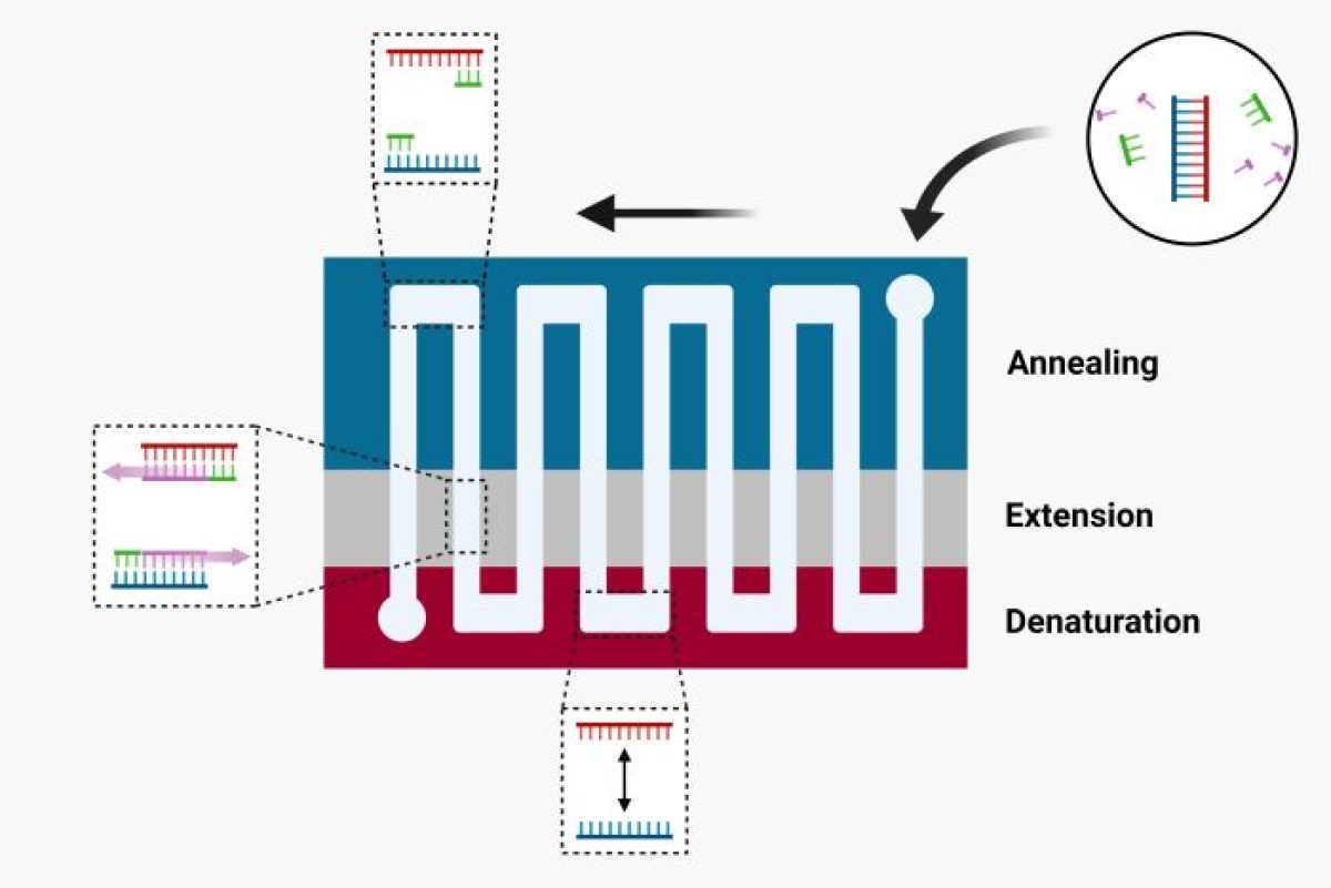 Nucleic Acid Amplification Test National HIV Programme HIV Testing