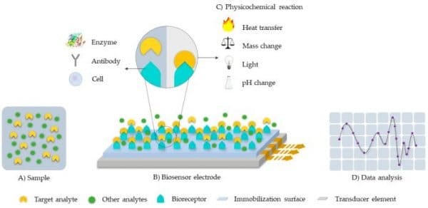 Biosensors in microfluidic chips - uFluidix