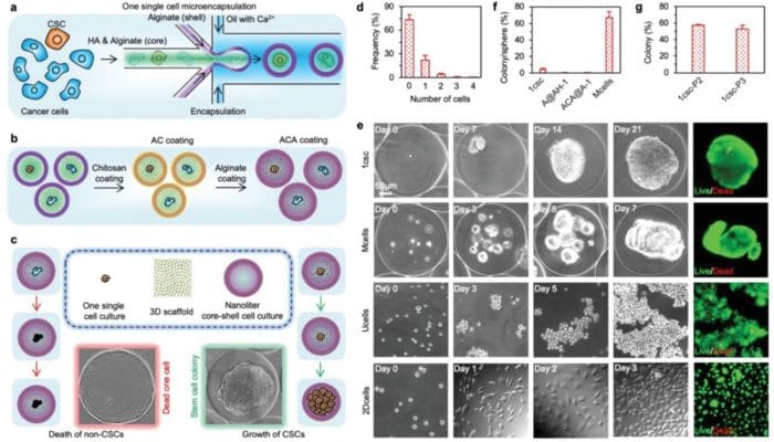 Droplet microfluidics for isolation and culture of cancer stem cells