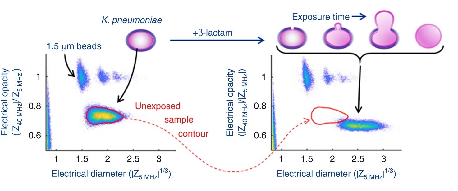 Microfluidic Platform for Rapid Antibiotic Susceptibility Tests