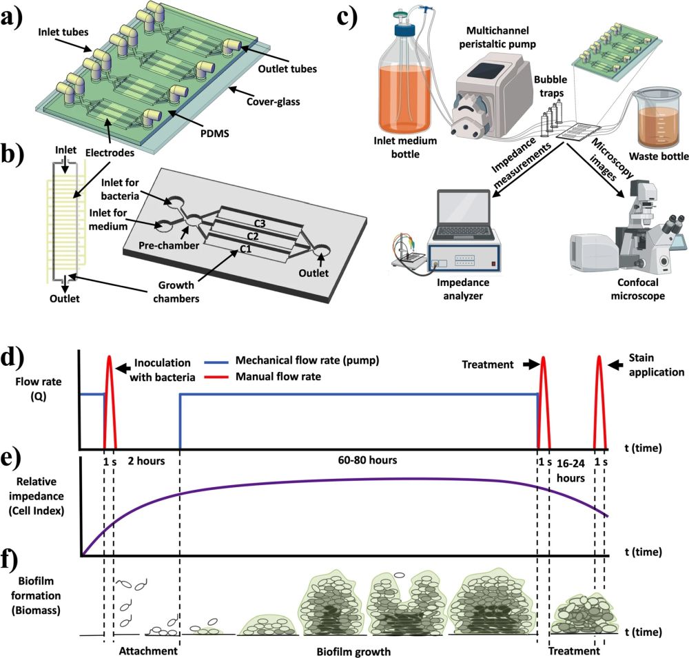 Microfluidic Biofilm Formation & Antibiotic Testing Device