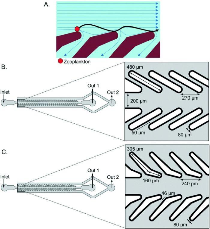 High Throughput Bioinspired Microfluidic for Particle Filtration