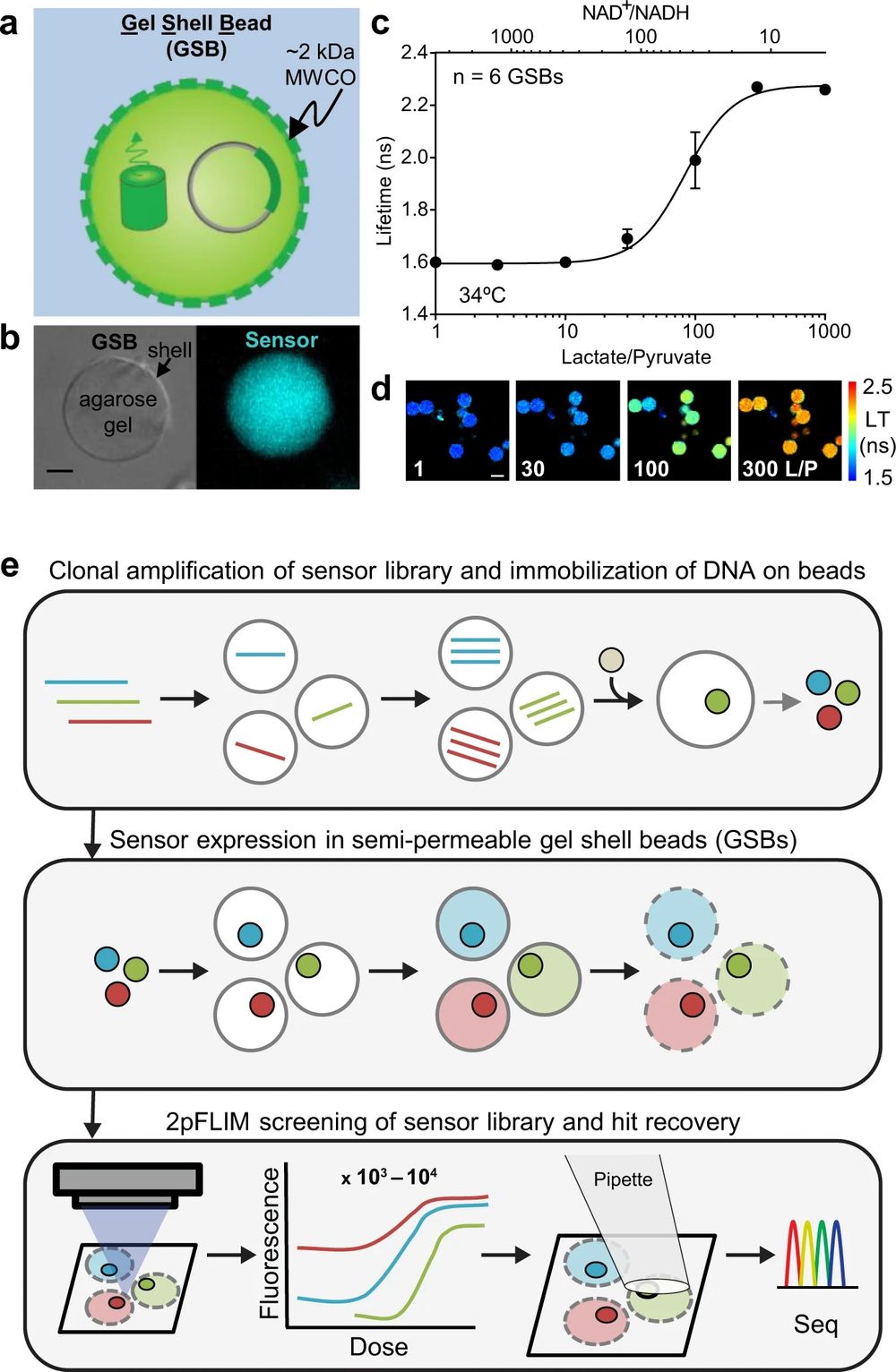 A droplet microfluidic approach for generating fluorescent biosensors