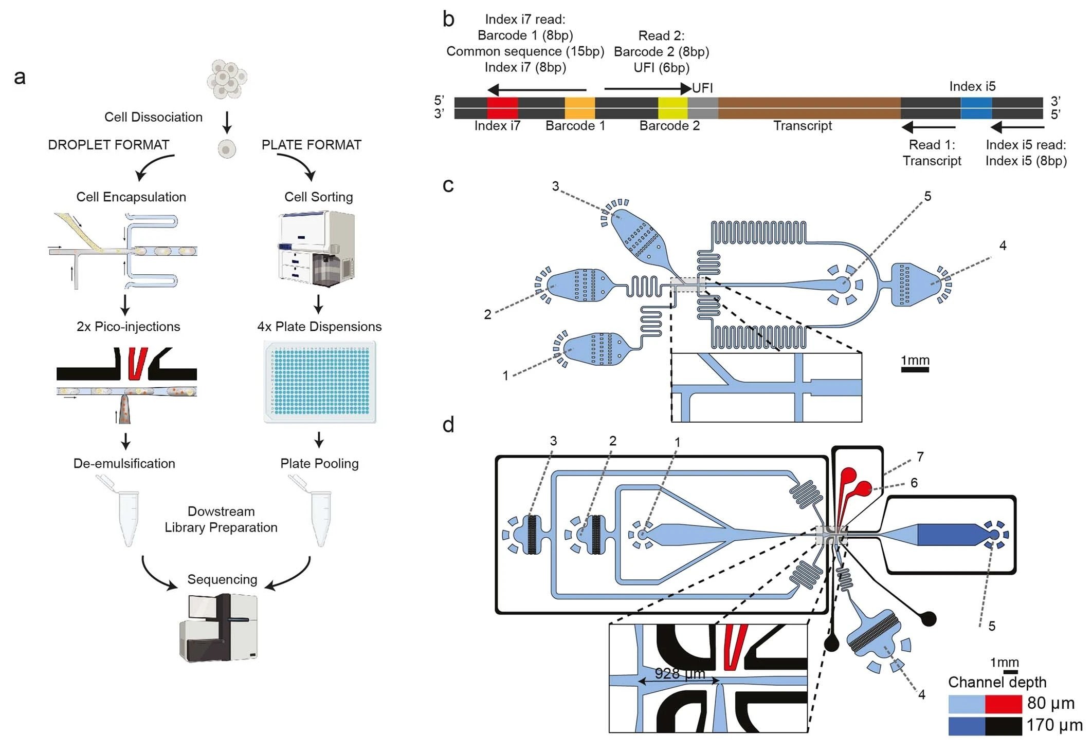 Droplet microfluidics-enabled total RNA sequencing