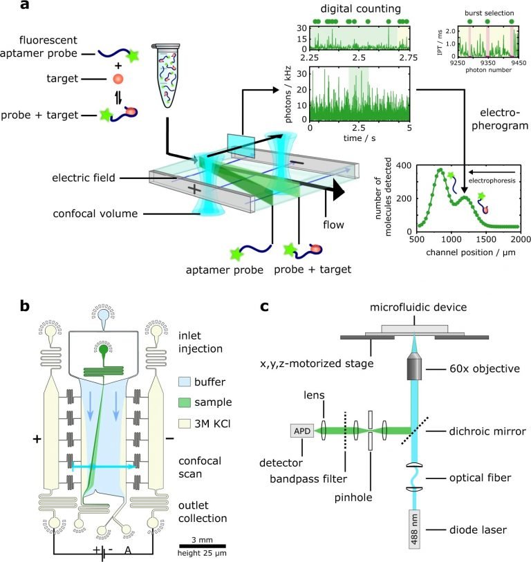 Revolutionizing Biomarker Detection: The Power of Microfluidic Sensing