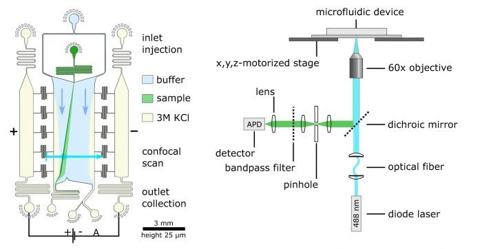 Revolutionizing Biomarker Detection: The Power of Microfluidic Sensing
