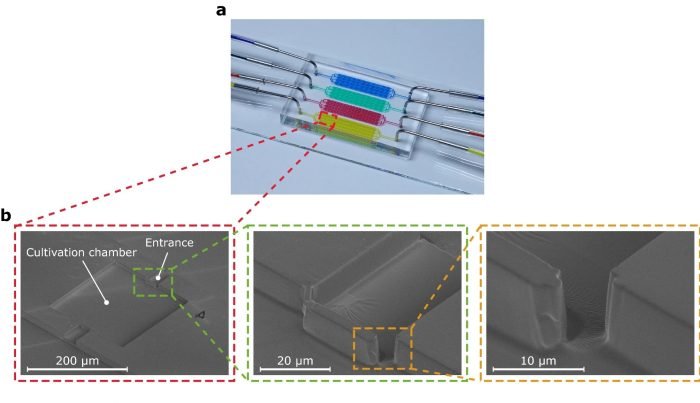 A novel cell retention concept for microfluidic single-cell cultivation