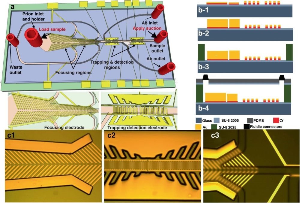 Chronic Wasting Disease Detection with Microfluidic Devices