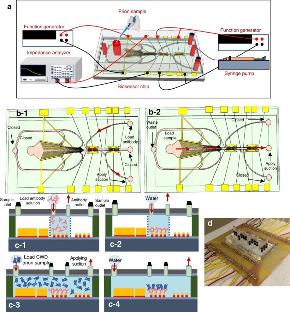 Chronic Wasting Disease Detection with Microfluidic Devices