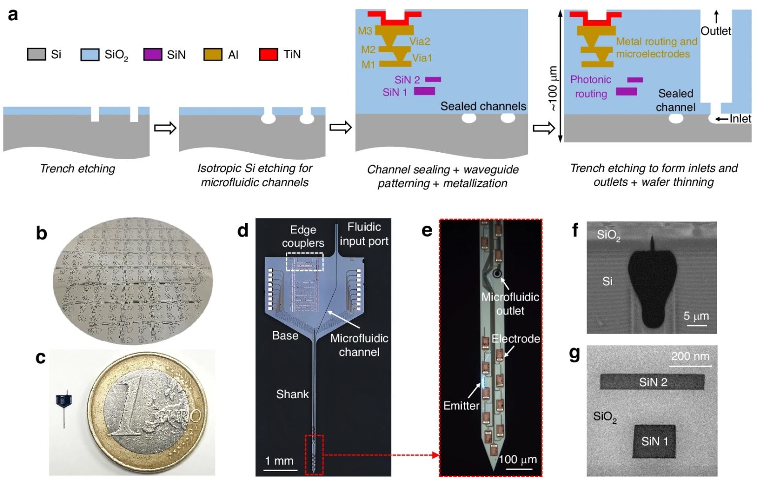 Microfluidic Neural Probes for Brain Drug Delivery